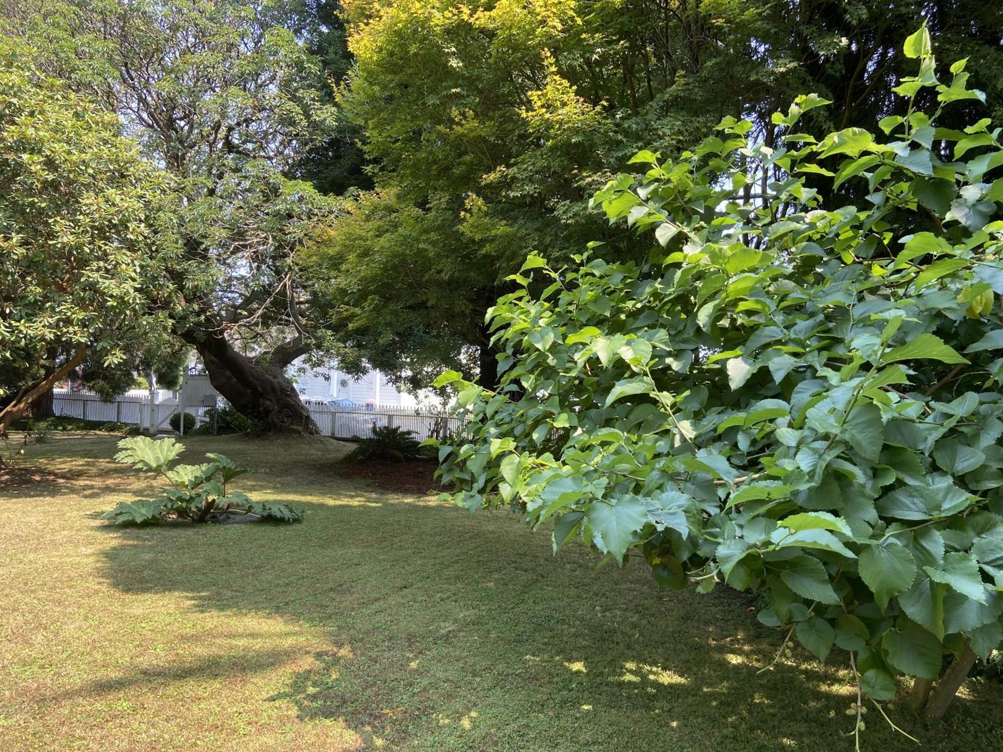Shaw House Inn 펀데일 외부 사진
